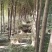白腊