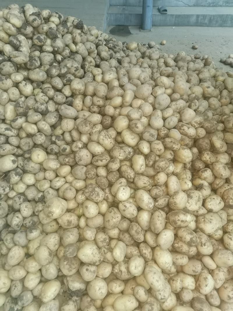 广水市健进生态农业有限公司