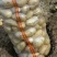 广西新土豆V7沃土实验一大量现货一手货源欢迎联系