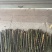 罗汉竹