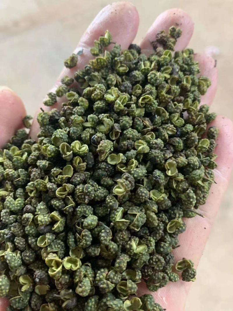 25年新产江津花椒青麻椒重庆花椒九叶青花椒云南九叶青
