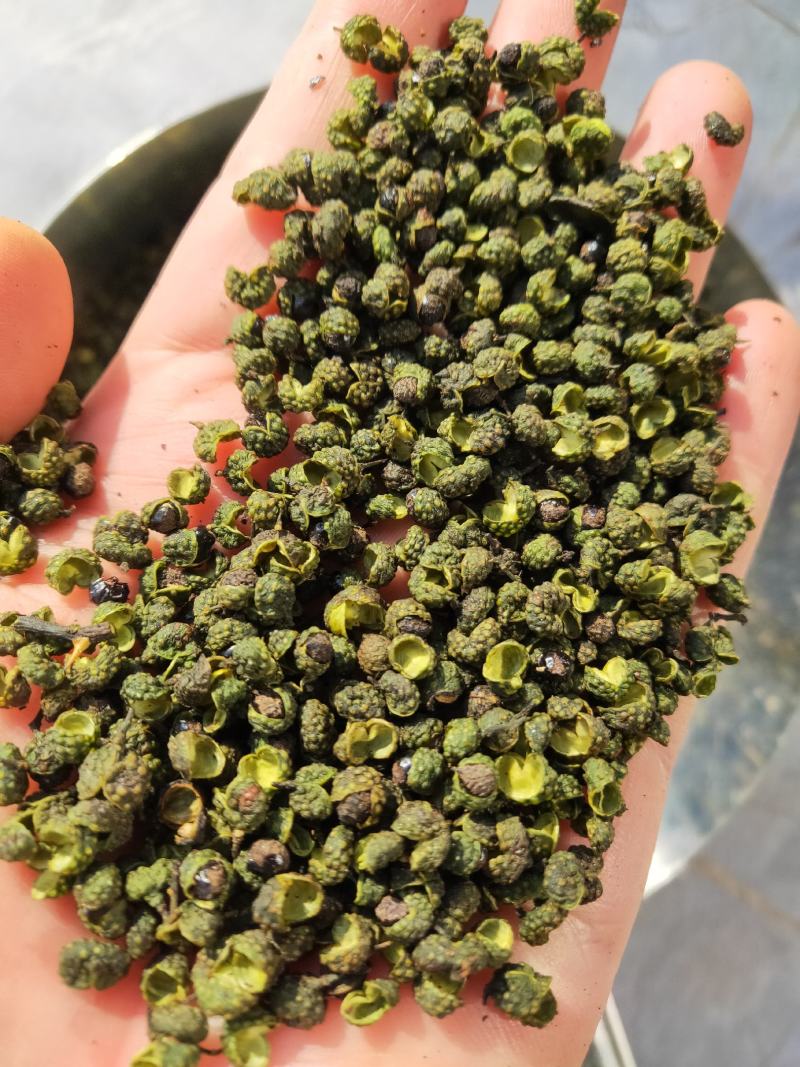 25年新产江津花椒青麻椒重庆花椒九叶青花椒云南九叶青