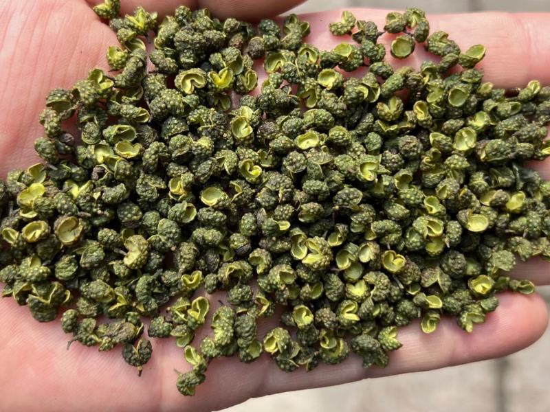 25年新产江津花椒青麻椒重庆花椒九叶青花椒云南九叶青
