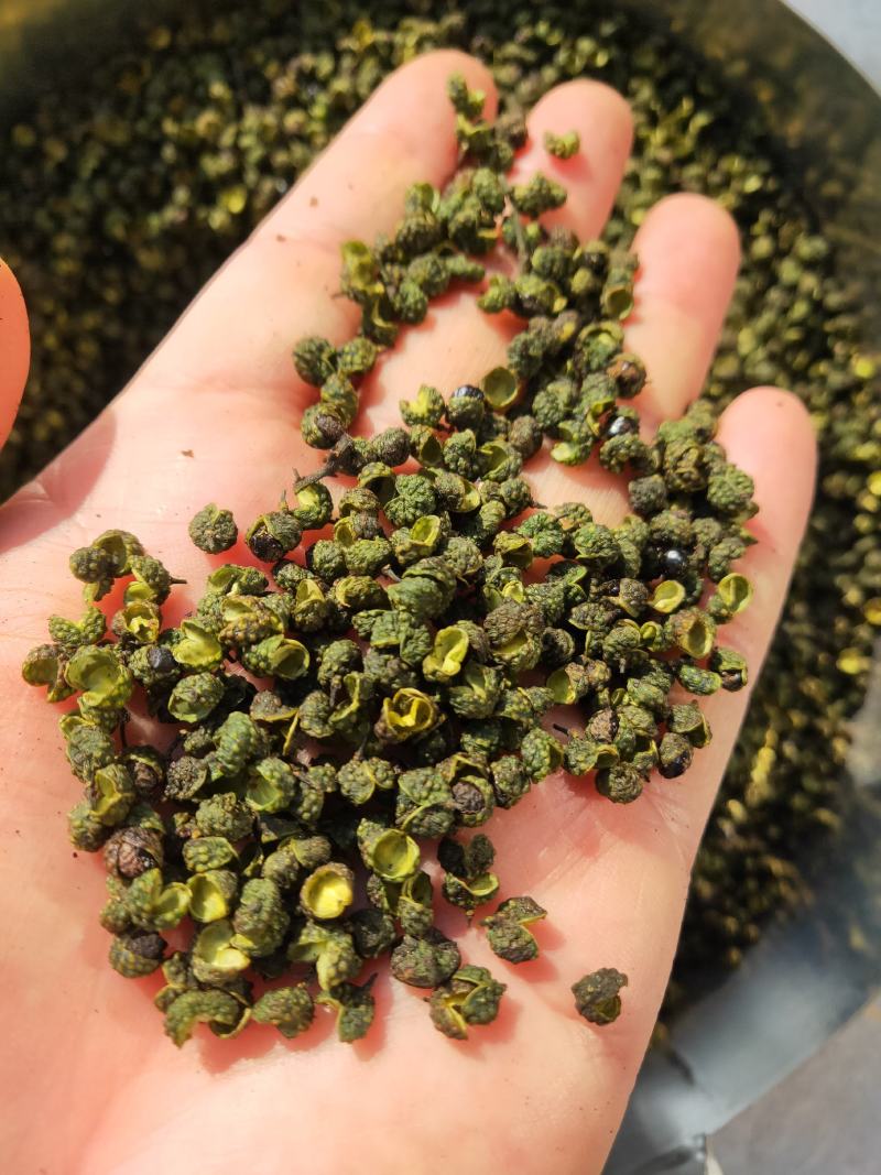 25年新产江津花椒青麻椒重庆花椒九叶青花椒云南九叶青