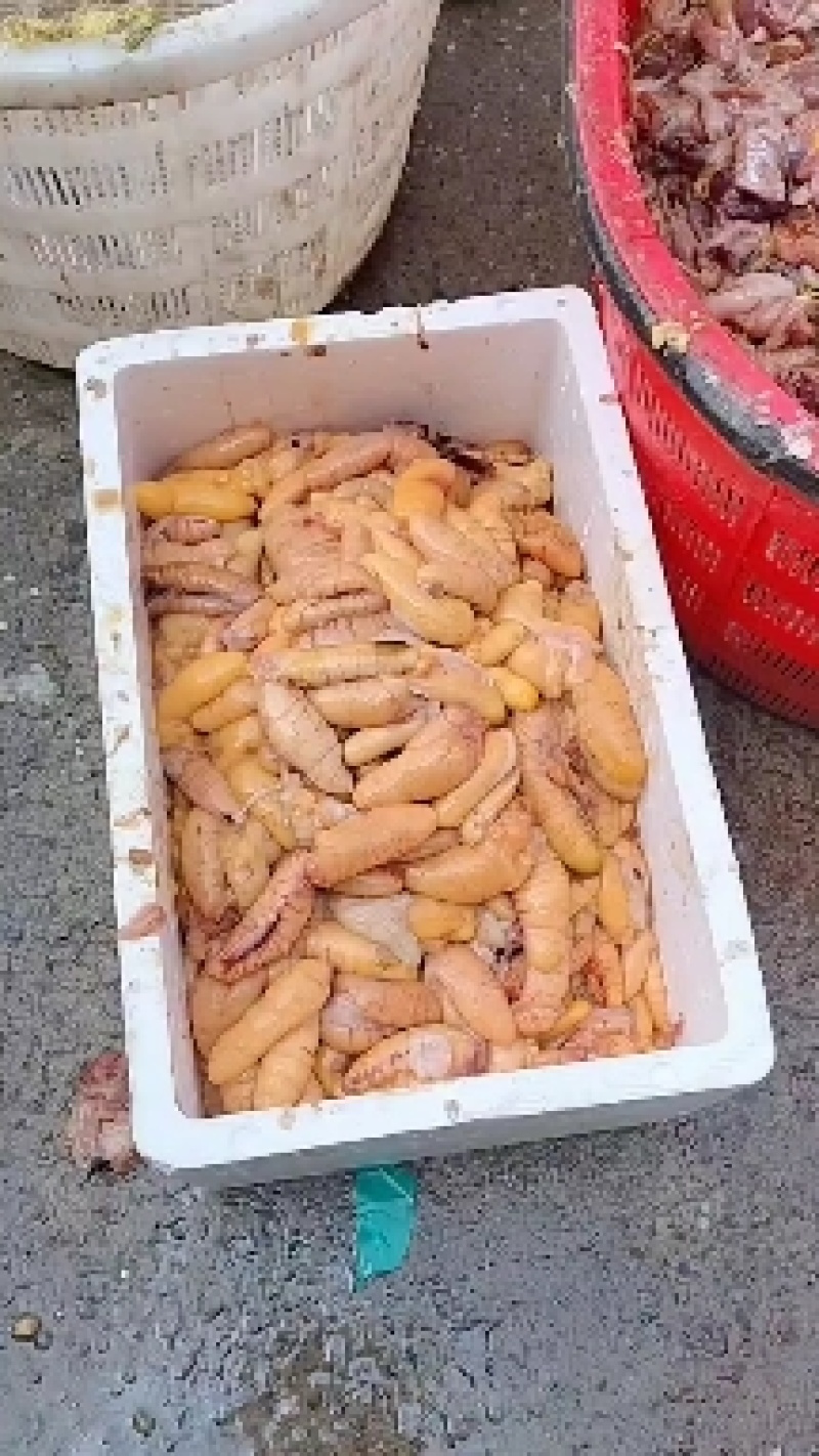鲈鱼籽