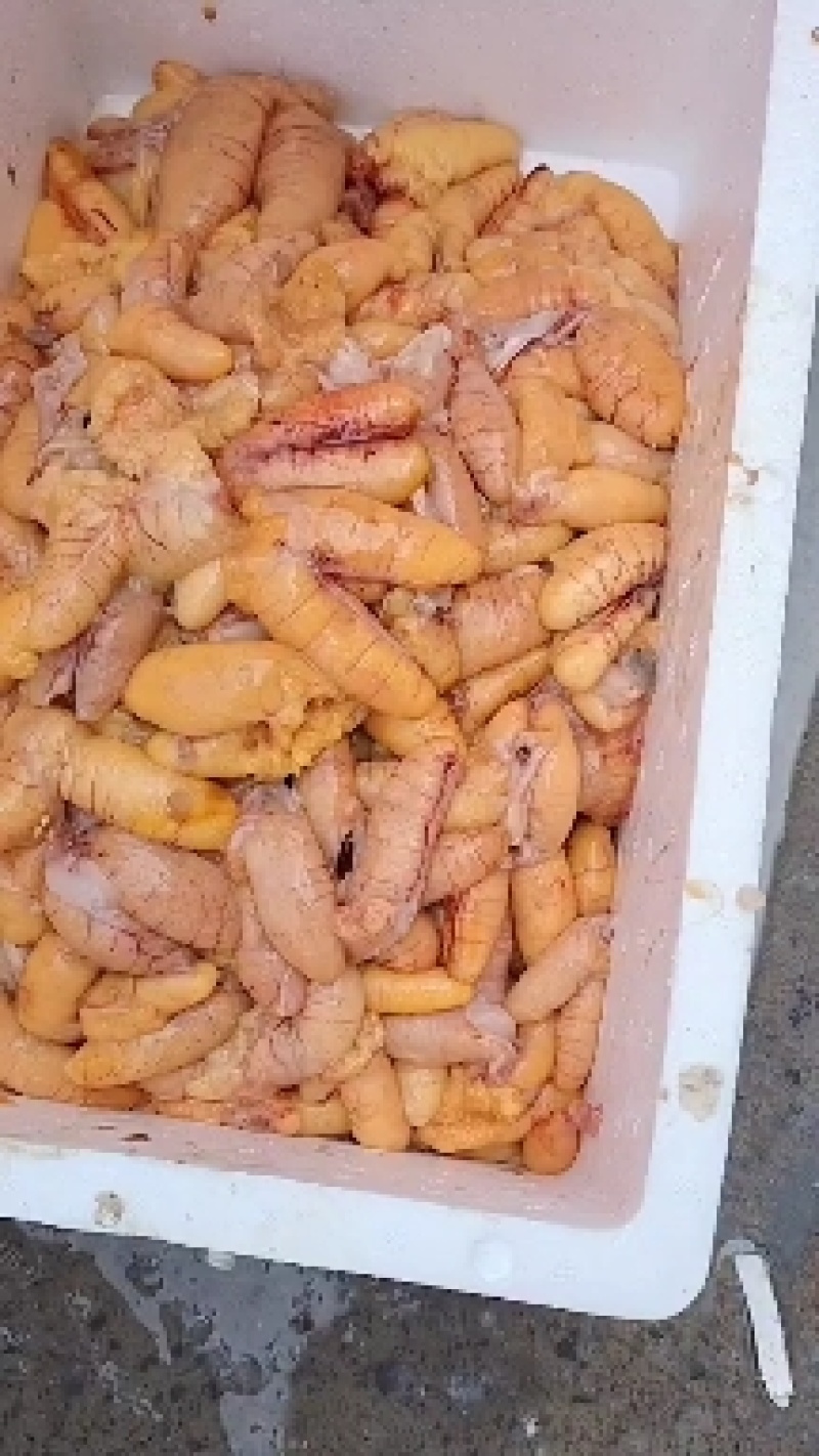 鲈鱼籽