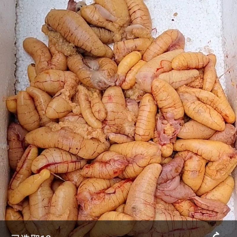 鲈鱼籽