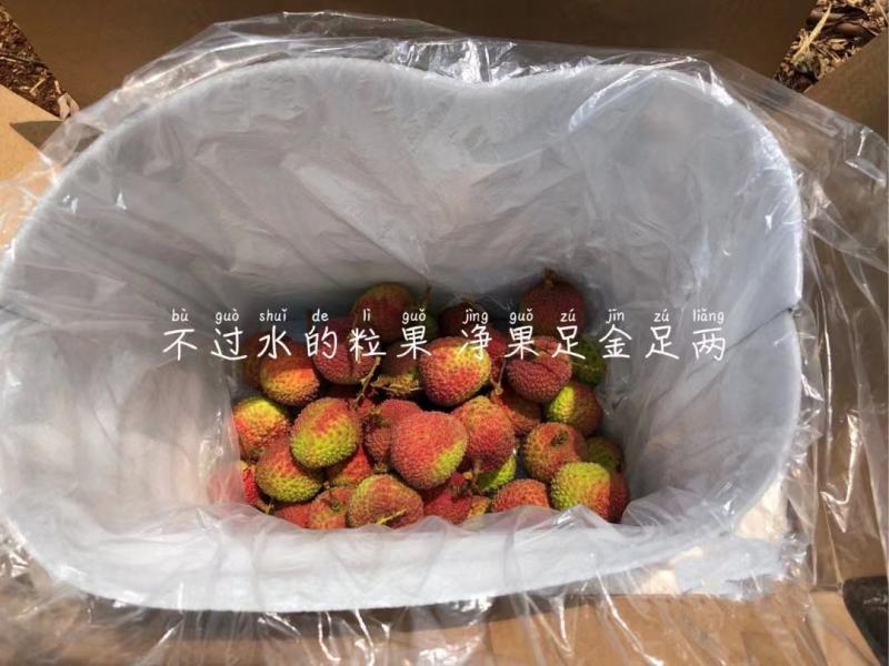 海南荔枝妃子笑