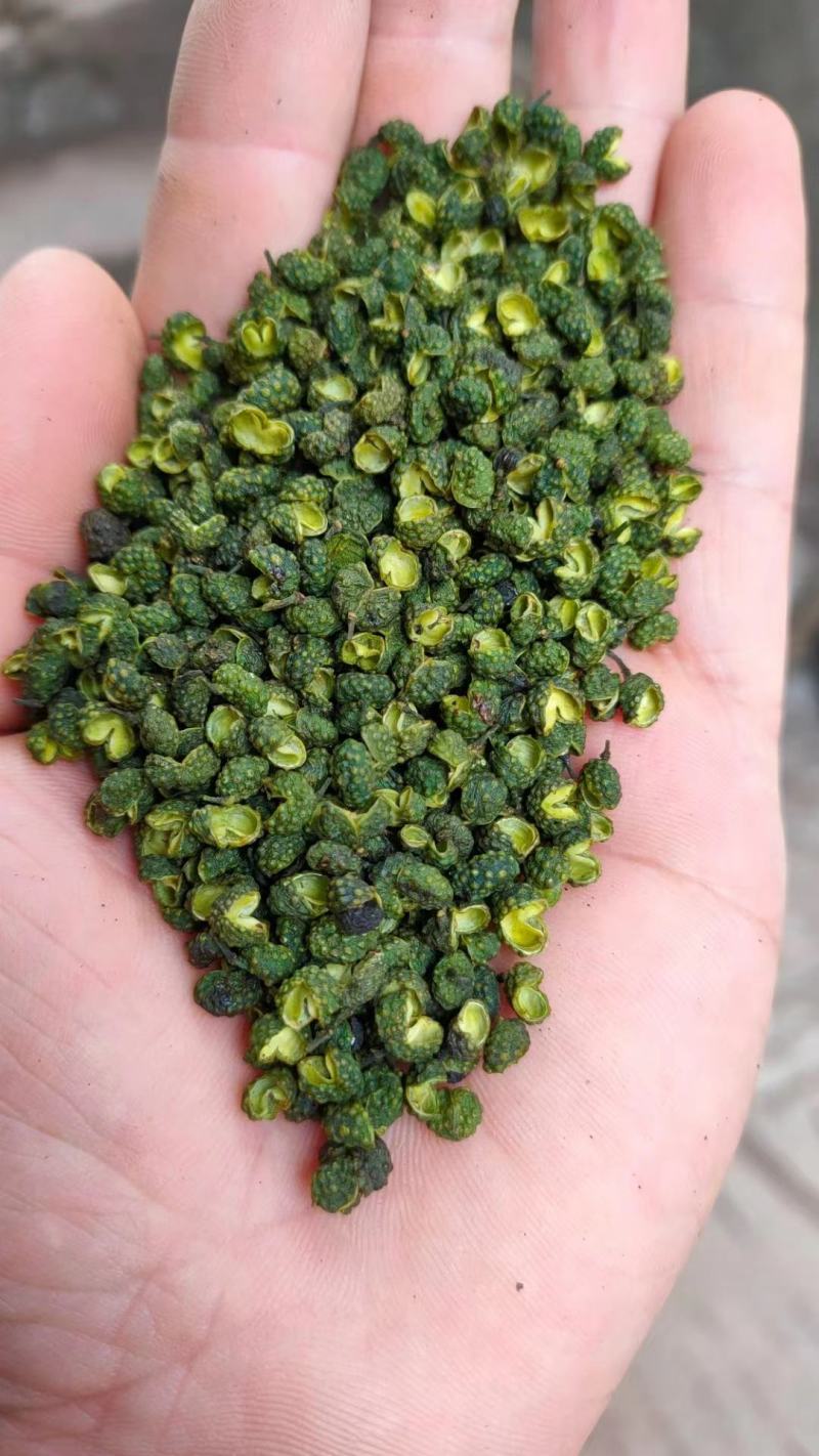 25年新产江津花椒青麻椒重庆花椒九叶青花椒云南九叶青