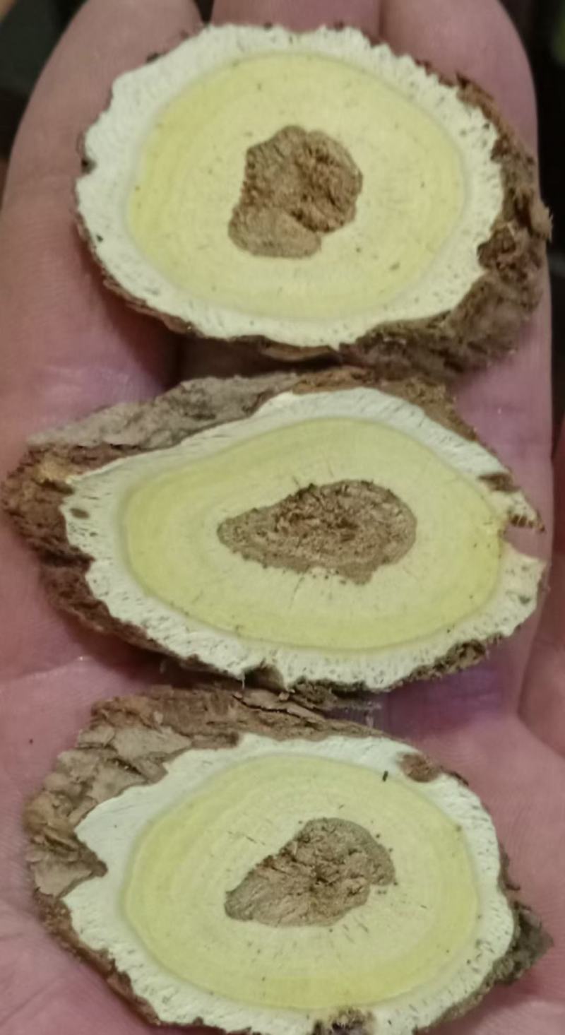 野生黄芪纯手工片批发
