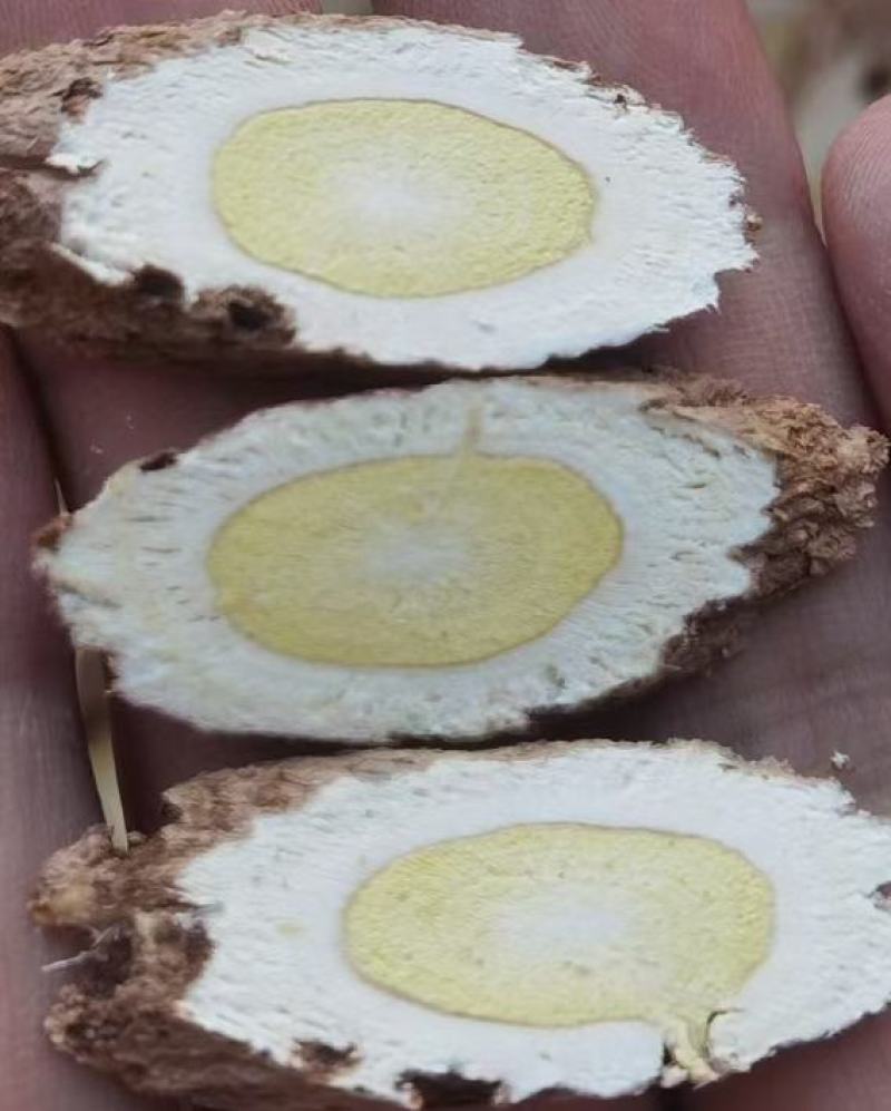 野生黄芪纯手工片批发