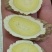 野生黄芪纯手工片批发