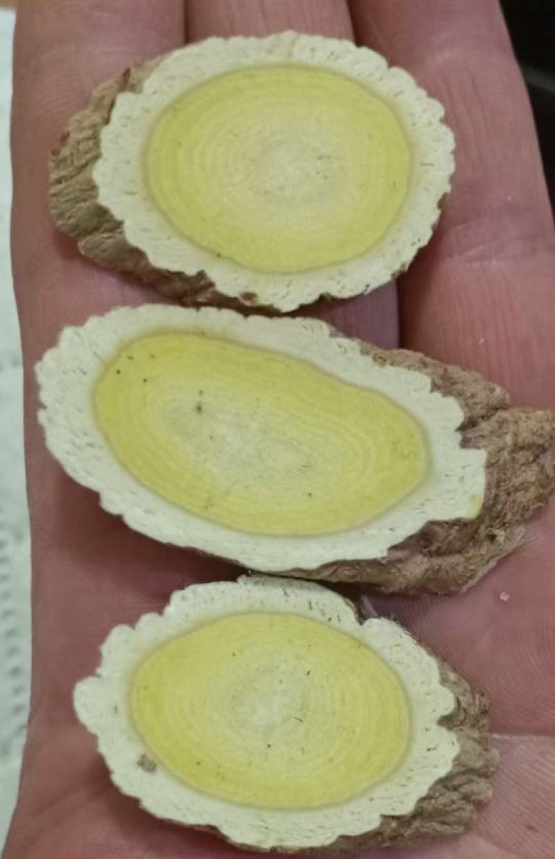 野生黄芪纯手工片批发