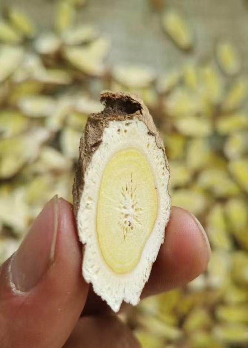 野生黄芪纯手工片批发