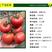 雅粉4号番茄种子粉红果果色亮丽硬度好商品性佳1000粒