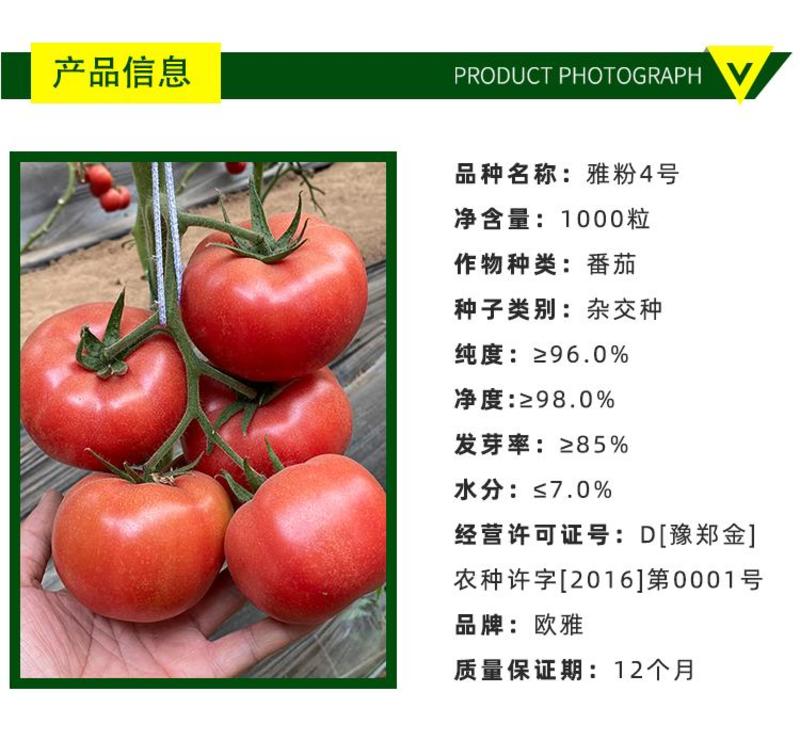 雅粉4号番茄种子粉红果果色亮丽硬度好商品性佳1000粒