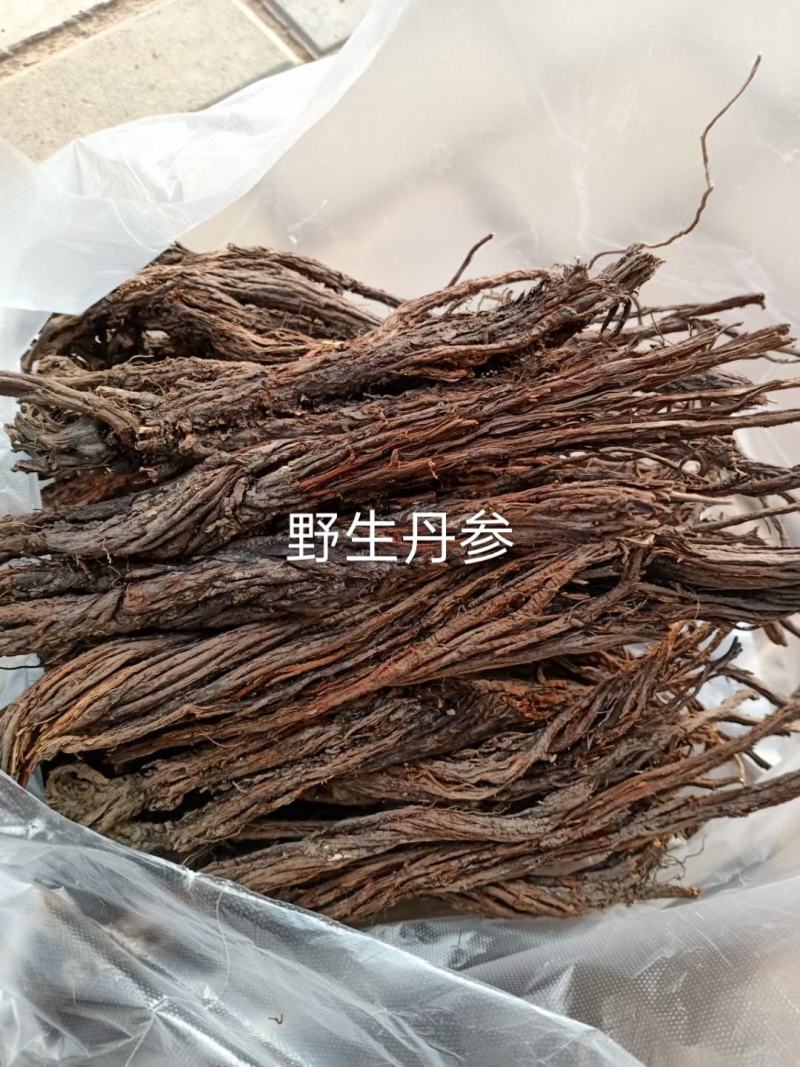 野生紫花丹参产地批发