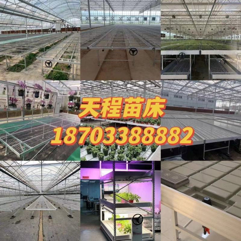 安平县天程农业设备厂