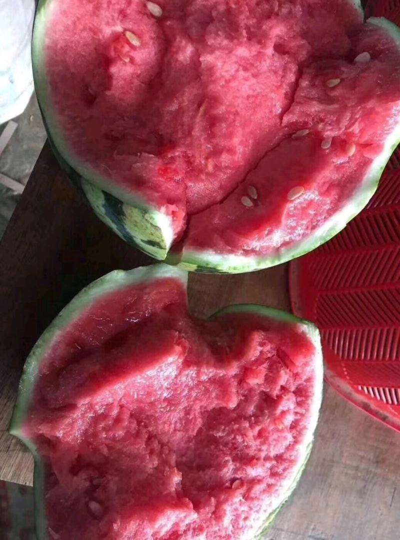 【精选】8424麒麟瓜，美都，有籽8424，产地供应