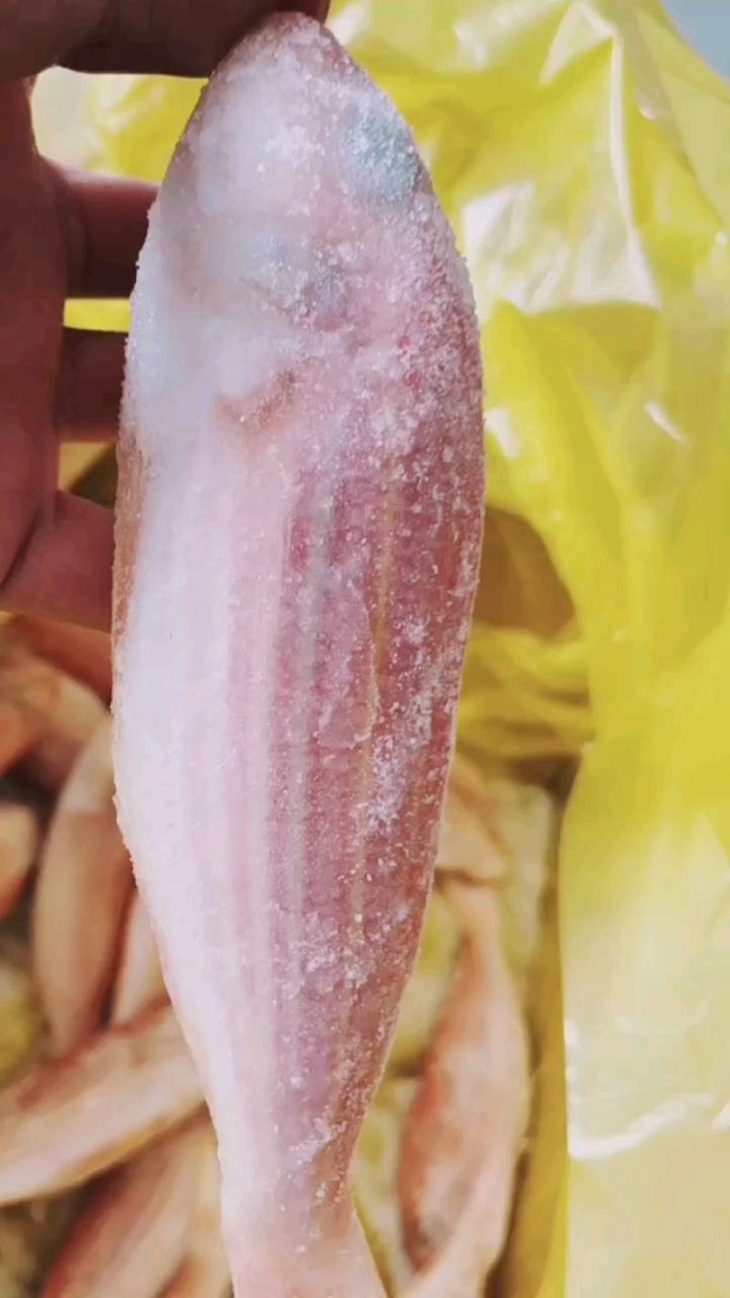 单冻金丝鱼，价格连美，品质优美，大众化适用
