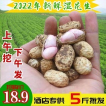 2022年新鲜湿花生一件代发红皮粉皮带泥带壳发货包邮
