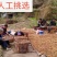 2022年新鲜湿花生一件代发红皮粉皮带泥带壳发货包邮