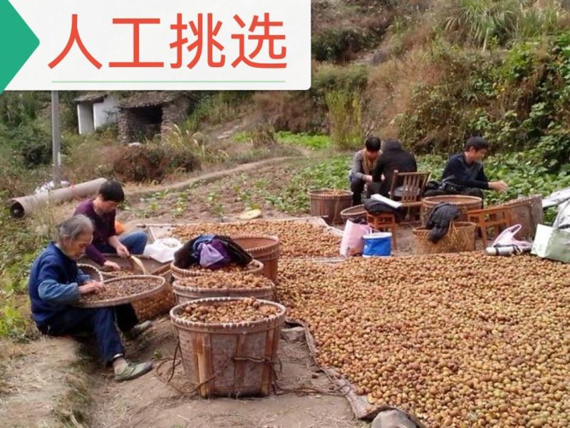 2022年新鲜湿花生一件代发红皮粉皮带泥带壳发货包邮