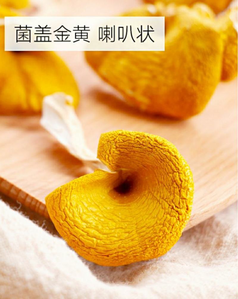 云南鸡油菌黄金菇菌香四溢鲜香美味营养丰富包邮