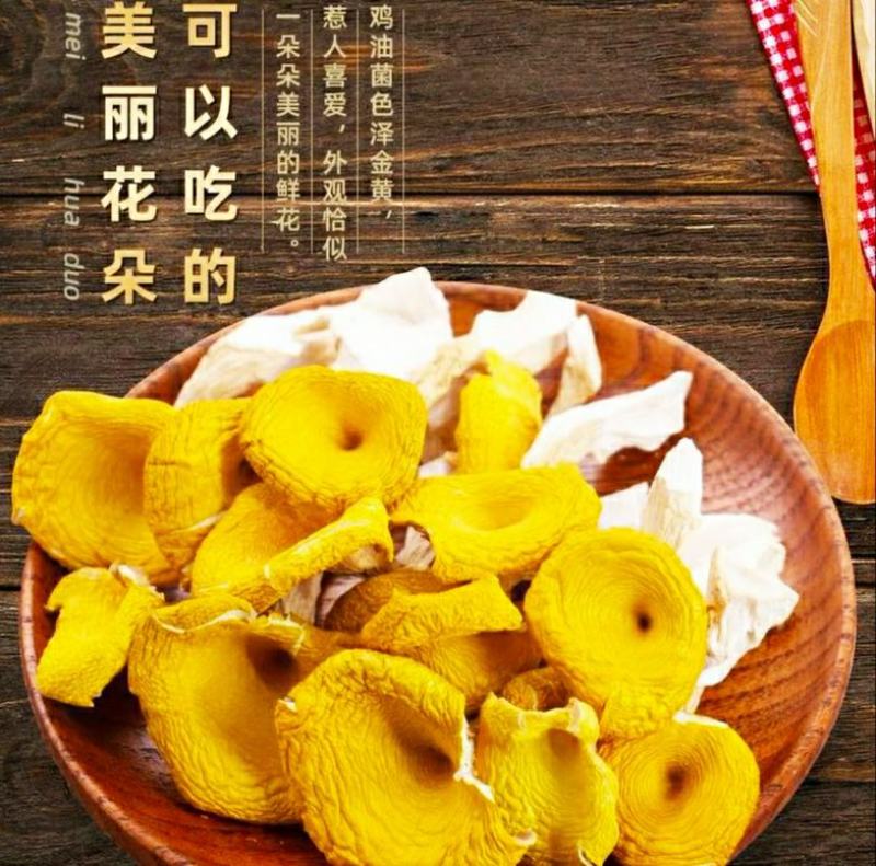 云南鸡油菌黄金菇菌香四溢鲜香美味营养丰富包邮