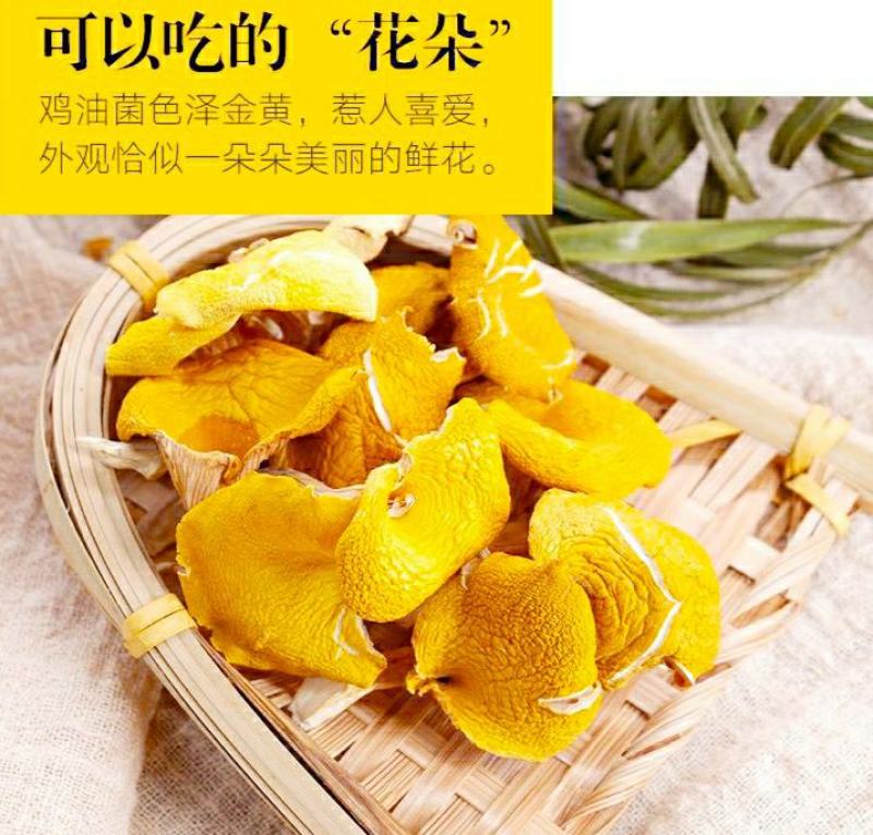 云南鸡油菌黄金菇菌香四溢鲜香美味营养丰富包邮