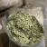 番泻叶大叶片好泻叶颜色好可以茶用地道药材产地直销低价一件代发