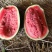 河南精品绿爽西瓜产地直发大量供应可视频看货
