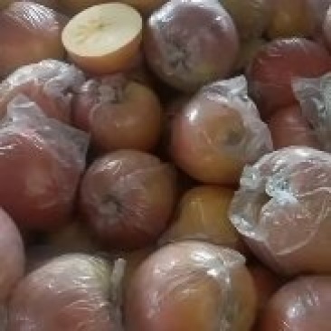 山西膜袋富士