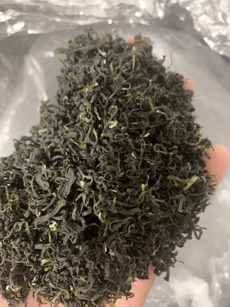 青岛田横绿茶头茶