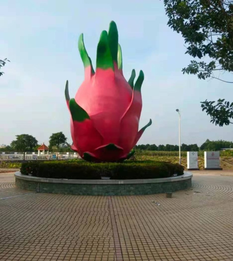 【热卖】大量供应红心火龙果。金都一号木兰