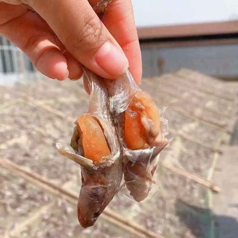 满籽满黄爆籽鱼，油光籽鱼，狗光鱼，各种咸鱼