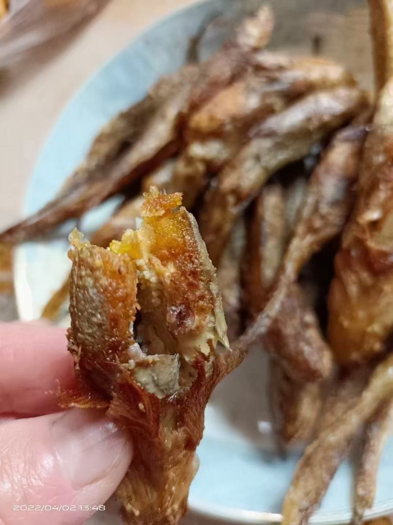 满籽满黄爆籽鱼，油光籽鱼，狗光鱼，各种咸鱼