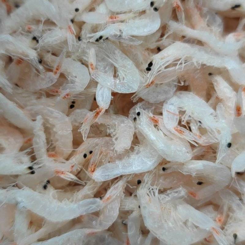 精品虾皮食品厂专用虾皮资质齐全可一件代发