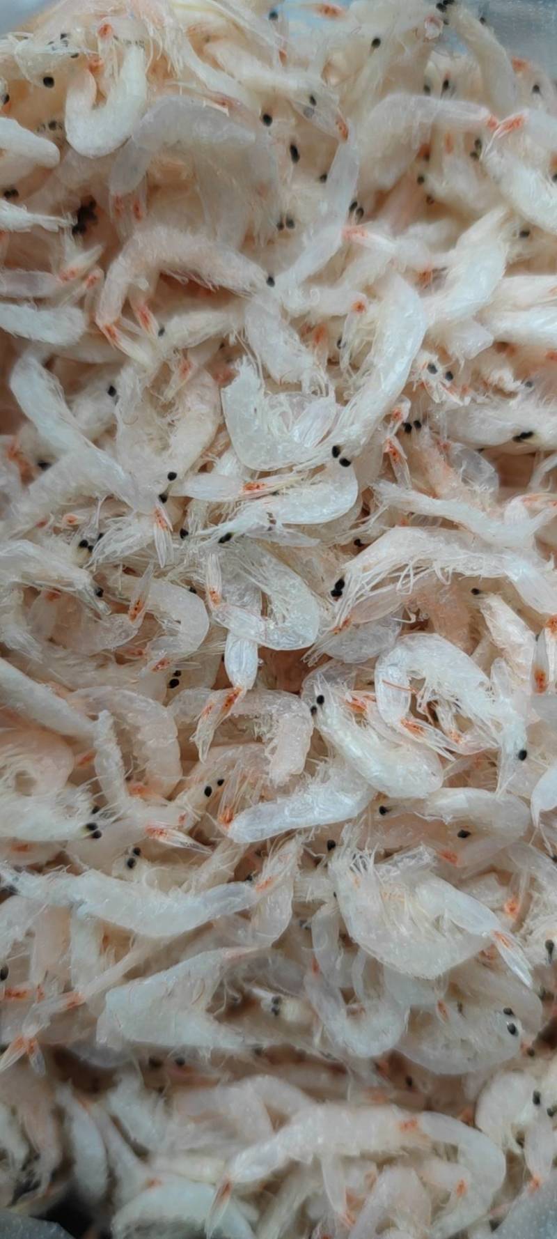 精品虾皮食品厂专用虾皮资质齐全可一件代发
