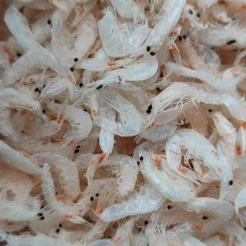 精品虾皮食品厂专用虾皮资质齐全可一件代发