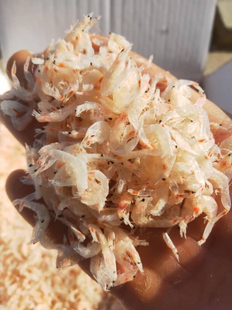 精品虾皮食品厂专用虾皮资质齐全可一件代发