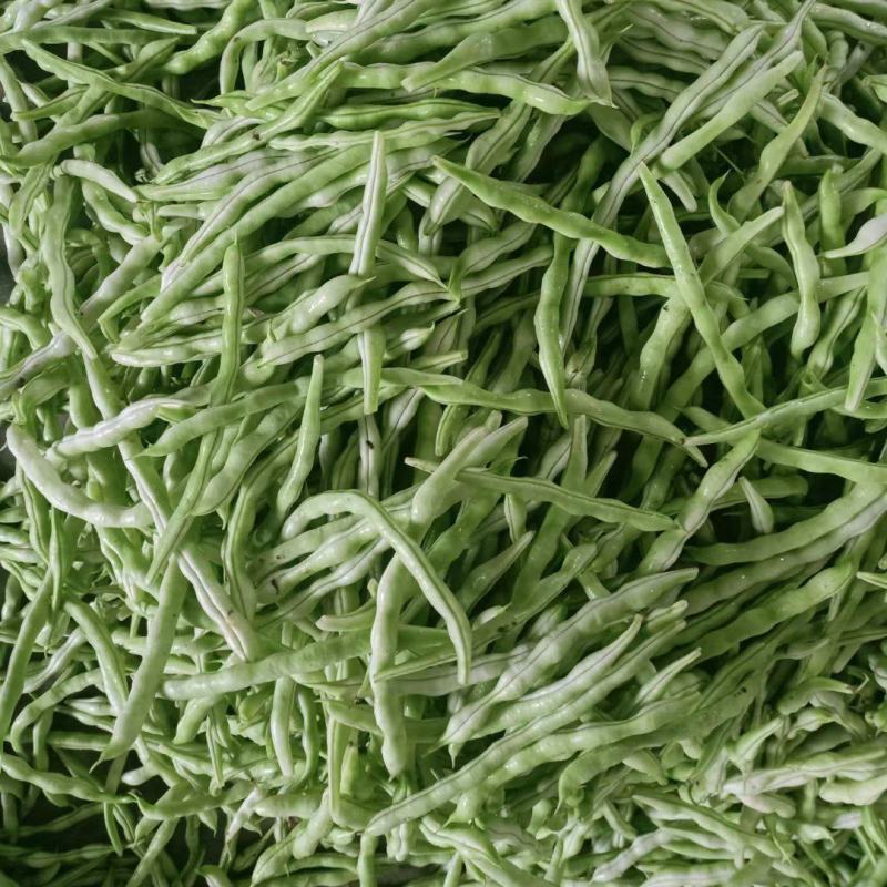 城固县精品白不老四季豆条直，无虫眼，直发商超。全国发货