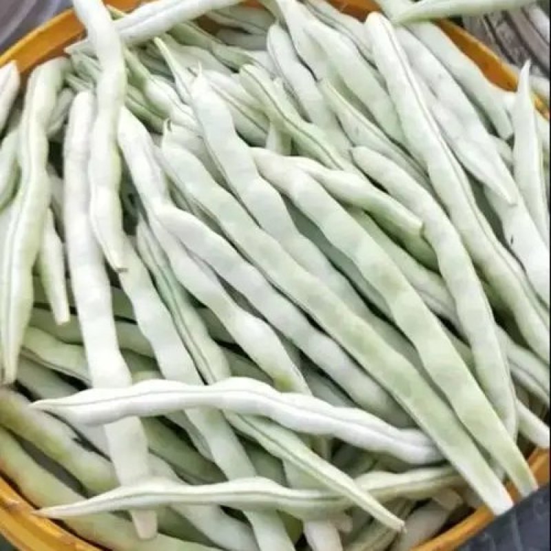 城固县精品白不老四季豆条直，无虫眼，直发商超。全国发货