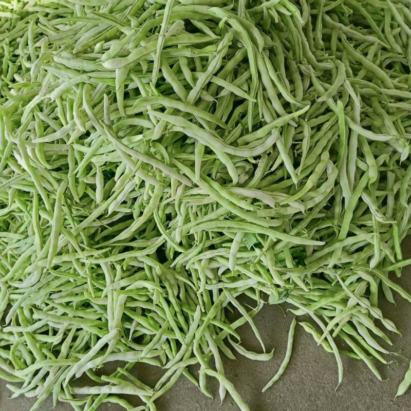 城固县精品白不老四季豆条直，无虫眼，直发商超。全国发货