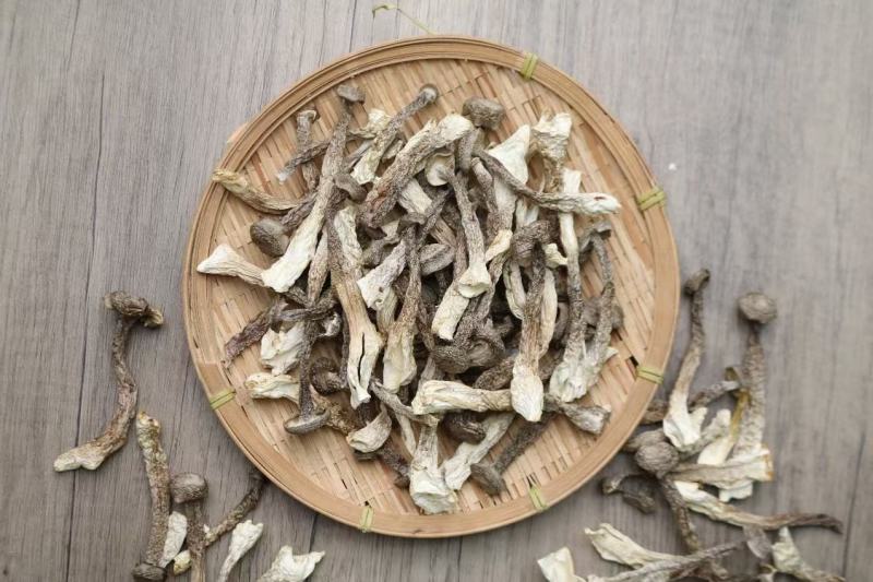 广州人鸿运A2精选实心鹿茸菌实心均匀货一件代发批发