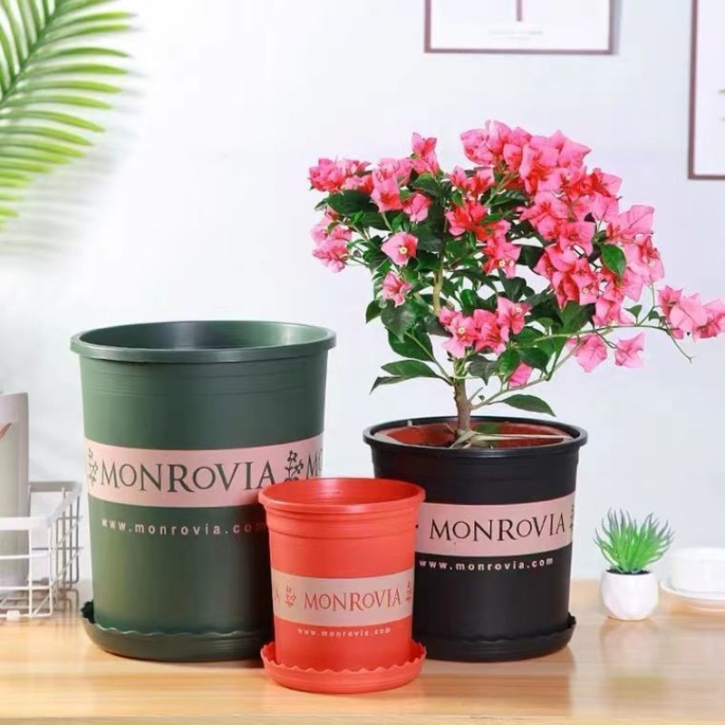 塑料花盆加仑盆特价清仓阳台绿萝盆栽月季吊兰花盆批发特大号