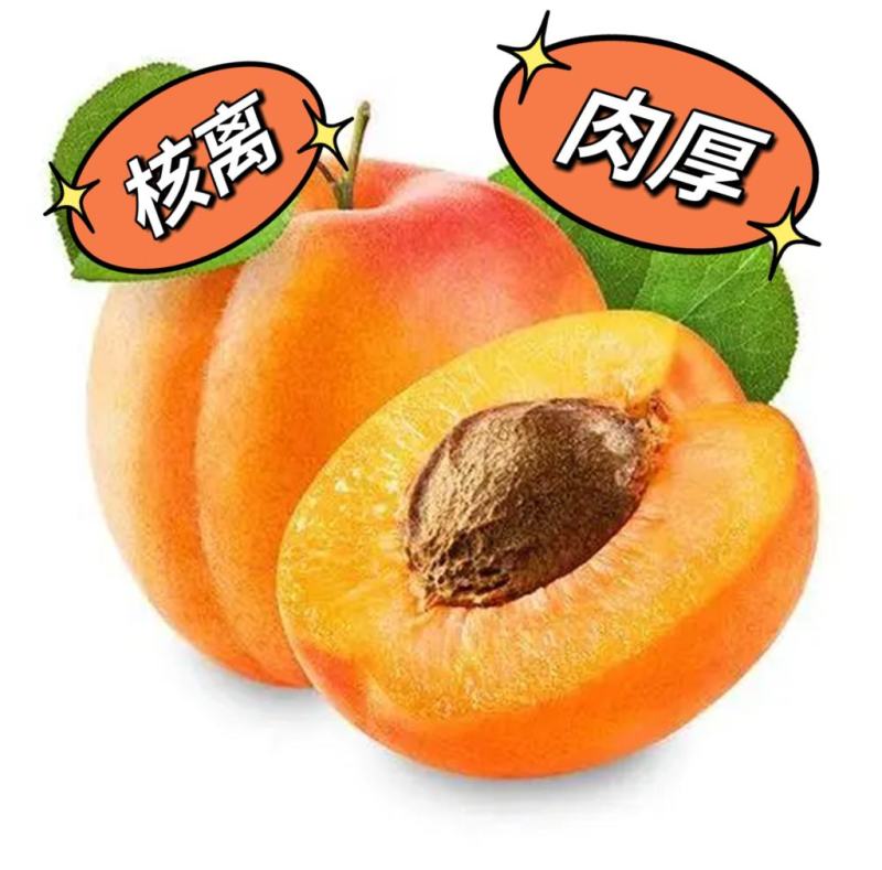 新鲜水果杏甜杏55MM以上产地现摘坏果包赔