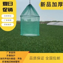 养鱼鱼护吊笼折叠鱼护鱼网兜养鱼龙虾泥鳅螃蟹黄鳝网箱存鱼