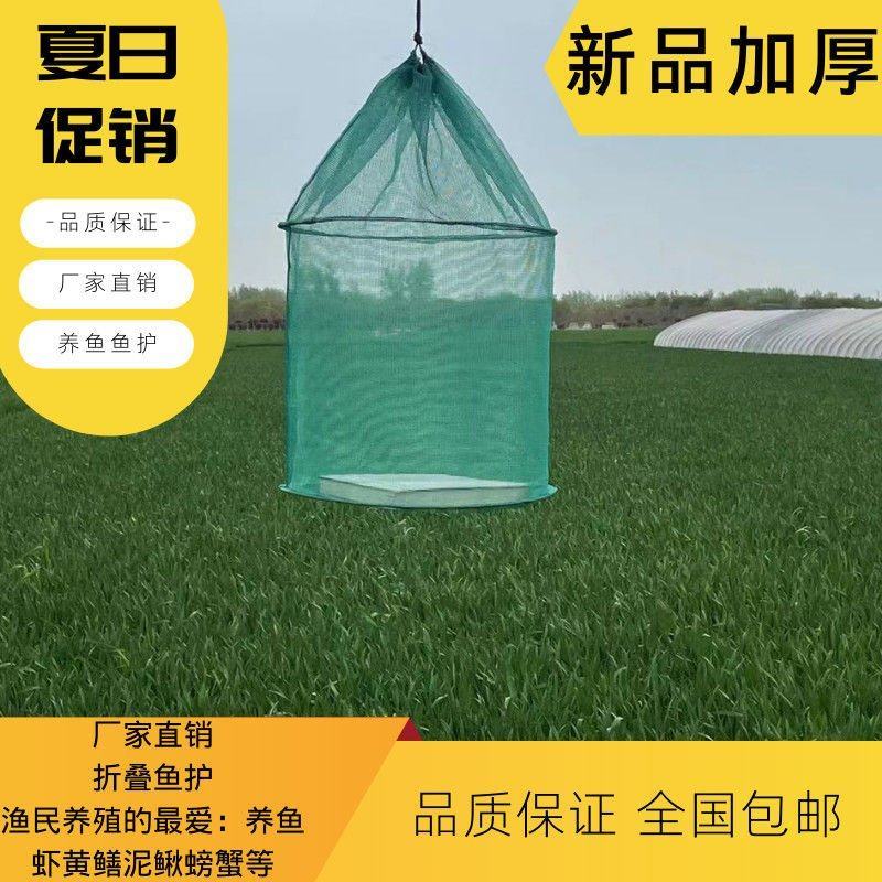 养鱼鱼护吊笼折叠鱼护鱼网兜养鱼龙虾泥鳅螃蟹黄鳝网箱存鱼