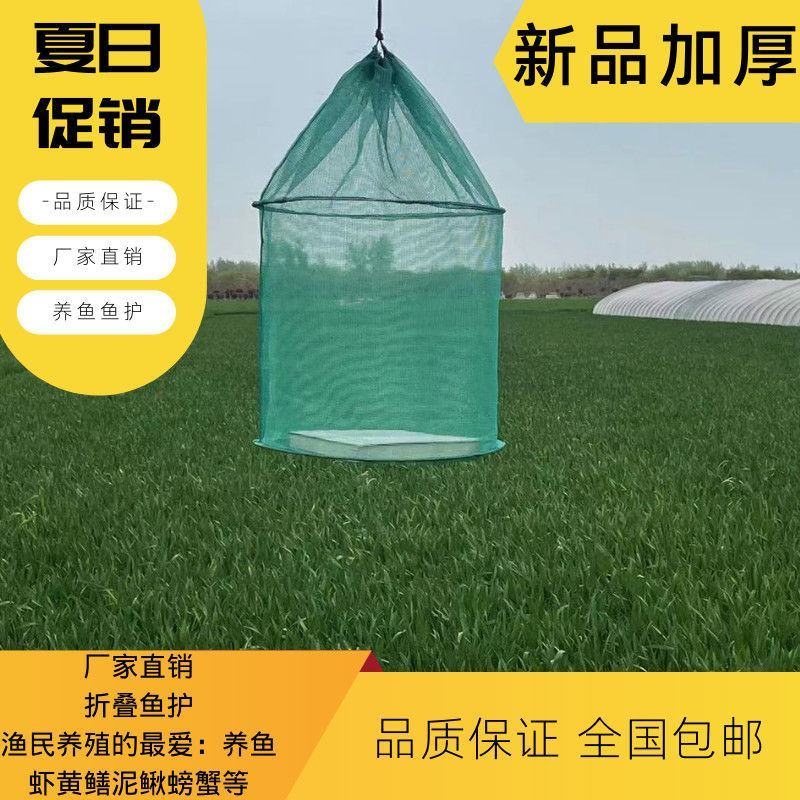 养鱼鱼护吊笼折叠鱼护鱼网兜养鱼龙虾泥鳅螃蟹黄鳝网箱存鱼
